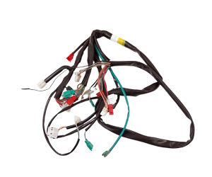 2-Wheeler/Main Wire Harness