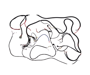 Bus Body Main Wire Harness