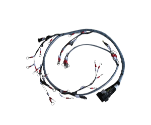 Ev-2-Wheeler Main Wire Harness
